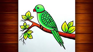 Parrot Drawing || How to Draw Parrot Step by Step || Bird Scenery Drawing || Draw Parrot...
