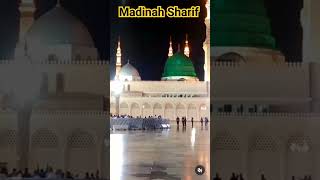 Madinah Sharif 💜 Madinah Umrah 2024 🪴#short #madinah #makkah