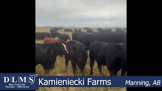 DLMS Direct - Kamieniecki Farms