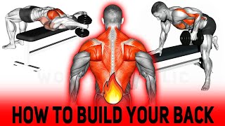 How To Build Your Back Workouts - 6 Effective Exercises