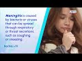 meningitis causes symptoms and treatment