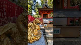 【金龍神社】春日大社境内にあり。御祭神は、金龍大神。御神徳は、開発や開拓の発展、金運。#神社 #shrine #癒し #春日大社 #金龍