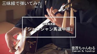 【三味線で弾いてみた】宮崎県民謡「シャンシャン馬道中唄」