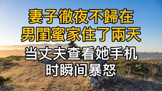 妻子徹夜不歸在男閨蜜家住了兩天，當丈夫查看她手機時瞬間暴怒！真實故事 ｜都市男女｜情感｜男閨蜜｜妻子出軌｜