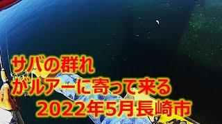 子サバが大漁！！　ジグサビキ＋マイクロジグで釣る　長崎県長崎市　2022年5月