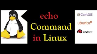 echo command in Linux and its Usage (Hindi) | DailyStudy
