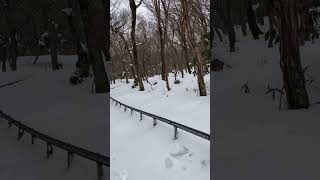 濟州島靈室登山 山上積雪深 管制中