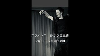 【フラメンコ】バイレ（踊り手）練習生さん対象　自主練【シギリージャ編　その１】