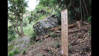 小町山ハイキング 4K