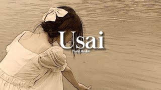 Download Usai - Tiara Andini (lyrics) mp3