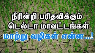 நீரின்றி பரிதவிக்கும்  டெல்டா மாவட்டங்கள் மாற்று வழிகள் என்ன…?