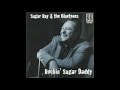 Sugar Ray & The Bluetones -  You  Can't be the one for me