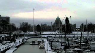 Snow Day Victoria B.C. - 'Too Cold' by Current Swell