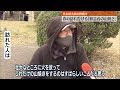 【春の風物詩】春の訪れ告げる「秋吉台の山焼き」行われる 山口・美祢市