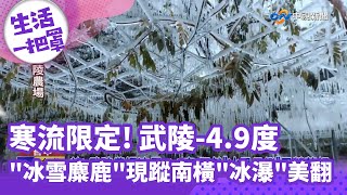 《生活一把罩》寒流限定! 武陵-4.9度\