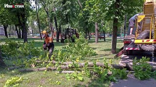 В Харькове продолжают устранять последствия непогоды