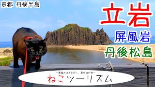 【猫と旅行】丹後半島の海沿いを行く【京都府】