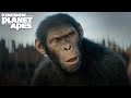 Kingdom of the Planet of the Apes I Memorial Day