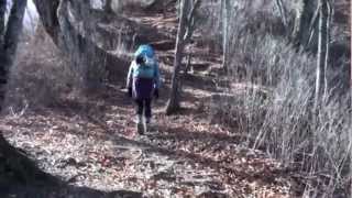 鷹ノ巣山登山東日原から Mt. Takanosu climbing From higashinippara