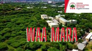 Oduufi Odeeffannoowwan 'waa maraa' Dec 07,2023 #yaadimedianetwork #news #breakingnews #ethiopia