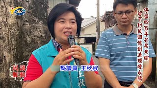 20230609 南投縣議會 民議脈動 保留四百年芒果老樹 留下村民回憶創造環境永續 (縣議員 陳淑惠、王秋淑)