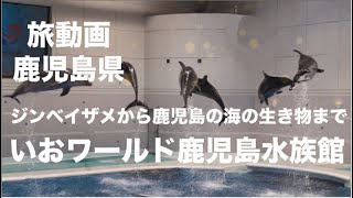 [旅動画] いおワールドかごしま水族館　楽しすぎ！ジンベエザメから鹿児島の海の生き物まで！