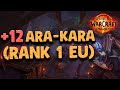 +12 (EU #1) Ara-Kara, Ele Shaman Pov | The War Within