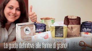 LA GUIDA DEFINITIVA ALLE FARINE di GRANO, TUTTI i TIPI, le CARATTERISTICHE e COME USARLE!