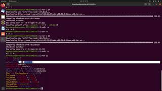 How to Install and Manage Multiple Versions Of NodeJs Using NVM 0n Linux