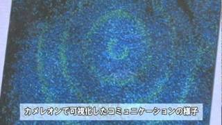 研究者インタビュー　堀川一樹　准教授