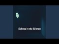 Echoes in the Silence