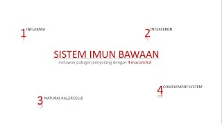 Mengenal Imunitas Bawaan (Innate Immune System)