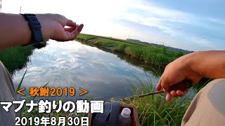 【秋鮒2019】マブナ釣りの動画　Crucian fishing in Autumn.