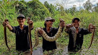 Rung tay khi chạm mặt với loài 