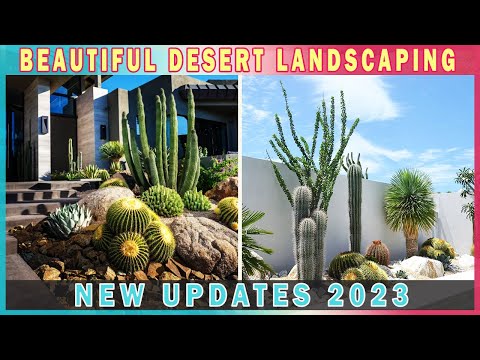 How do you decorate a cactus garden?