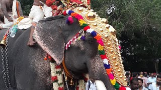 തൃശ്ശൂർ പൂരം | പാറമേക്കാവ് ശ്രീ പദ്മനാഭൻ | thrissur pooram | paaramekkaav sree Padmanaabhan