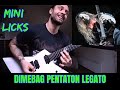 'MINI LICKS SERIES' #19 / DIMEBAG - STYLE PENTATON LEGATO LICK lesson by ATTILA VOROS