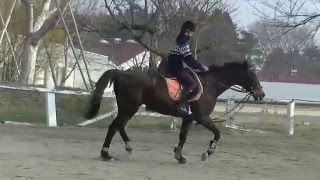 3月30日:小澤(雪鐘)　軽速歩 その３