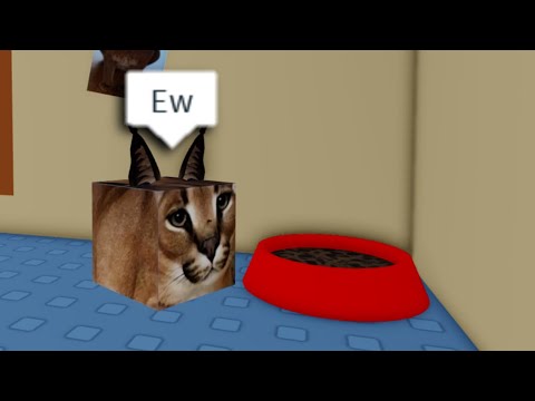 ROBLOX Raise a Floppa - FUNNY MOMENTS (Reupload)