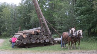Forest History Center Real Horsepower Days - Logging