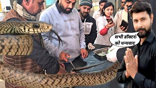 सर्प की हालत देखकर हास्पिटल मे डाक्टरो ने क्या किया/duniya ka sabse bada saamp kaun sa hai/#snake