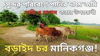 মানিকগঞ্জের বড়াইদ চর সস্তায় জমি কিনে স্বল্প আয়ের মানুষ বাড়ি করতে পারবেন! vairal chor Bangladesh