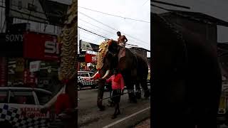 ഓമല്ലൂർ  ശ്രീ രക്തകണ്ഠ  സ്വാമി ക്ഷേത്രം  ഏഴാം തിരു ഉത്സവം ആറാട്ട് എഴുന്നള്ളത് 18/5/2022