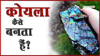 प्राकृतिक कोयला कैसे बनता है, How Natural Coal Is Formed?