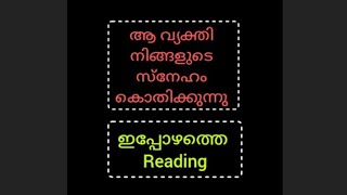 ഇപ്പോഴത്തെ  reading🌹ആ വ്യക്തി  സ്നേഹം കൊതിക്കുന്നു timelessreading #malayalamtarot #love❤️