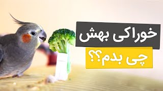 غذای عروس هلندی در هر مرحله از زندگی چی باید باشه؟