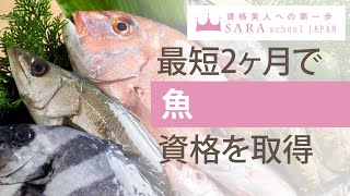 【魚資格】シーフードソムリエ資格取得の通信講座！【SARAスクール】CM