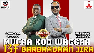 Jireenyaa Shifarraa on #GammadaaShow Mucaa koo waggaa 13f barbaadaan jira Episode 30, 2024