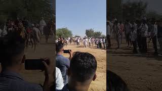 મુડેઠા દીવાળી જોરદાર અશ્વ દોડ || Mudetha diwali jordar horse race video horse video