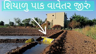 શિયાળુ પાક | જીરાનુ વાવેતર ખેતર માં પાણી સાલે | ધાણા જીરું